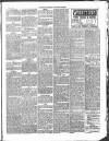 Norfolk Chronicle Saturday 01 April 1893 Page 5