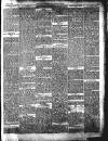 Norfolk Chronicle Saturday 11 January 1896 Page 5