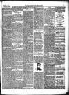 Norfolk Chronicle Saturday 11 November 1899 Page 9