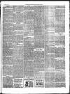 Norfolk Chronicle Saturday 18 August 1900 Page 5