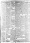 Norfolk News Saturday 24 February 1855 Page 5