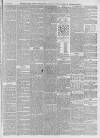 Norfolk News Saturday 29 October 1859 Page 7