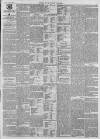 Norfolk News Saturday 15 July 1865 Page 3