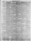 Norfolk News Saturday 11 September 1869 Page 11