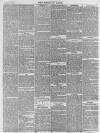 Norfolk News Saturday 17 December 1870 Page 7
