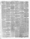 Norfolk News Saturday 07 November 1874 Page 9