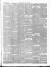 Norfolk News Saturday 10 July 1880 Page 5