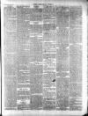 Norfolk News Saturday 16 April 1881 Page 9