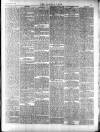 Norfolk News Saturday 16 April 1881 Page 11