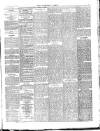 Norfolk News Saturday 17 March 1888 Page 7