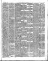 Norfolk News Saturday 08 February 1890 Page 8