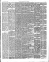 Norfolk News Saturday 01 March 1890 Page 7