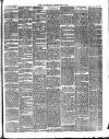 Norfolk News Saturday 17 June 1893 Page 7