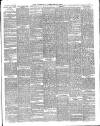 Norfolk News Saturday 18 July 1896 Page 11