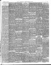 Norfolk News Saturday 17 July 1897 Page 11