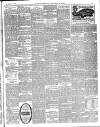 Norfolk News Saturday 28 January 1899 Page 3
