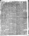 Norfolk News Saturday 22 July 1899 Page 13