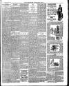 Norfolk News Saturday 13 January 1900 Page 7