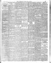 Norfolk News Saturday 04 May 1901 Page 13