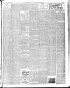 Norfolk News Saturday 03 August 1901 Page 7