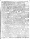 Norfolk News Saturday 20 February 1909 Page 13