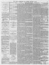 Leamington Spa Courier Saturday 30 January 1875 Page 3