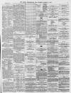 Leamington Spa Courier Saturday 13 March 1875 Page 3