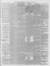 Leamington Spa Courier Saturday 10 April 1875 Page 3