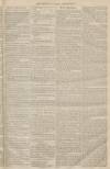 Sheffield Daily Telegraph Saturday 23 June 1855 Page 3