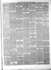 Staffordshire Advertiser Saturday 24 April 1869 Page 7