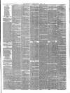 Staffordshire Advertiser Saturday 03 April 1875 Page 3