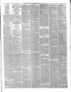 Staffordshire Advertiser Saturday 19 June 1875 Page 3
