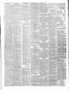 Staffordshire Advertiser Saturday 20 November 1875 Page 3