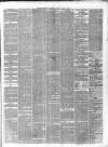 Staffordshire Advertiser Saturday 13 April 1878 Page 5
