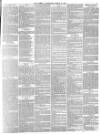 Sussex Advertiser Tuesday 13 March 1877 Page 5