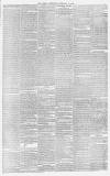 Sussex Advertiser Tuesday 12 February 1878 Page 7