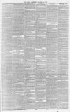 Sussex Advertiser Tuesday 12 November 1878 Page 7
