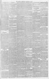 Sussex Advertiser Tuesday 26 November 1878 Page 5