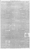 Sussex Advertiser Tuesday 26 November 1878 Page 7