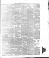 Sussex Advertiser Tuesday 13 May 1879 Page 3