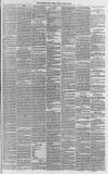 Western Daily Press Friday 23 June 1871 Page 3