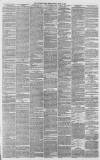Western Daily Press Friday 13 June 1873 Page 3