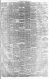 Western Daily Press Thursday 04 March 1875 Page 3