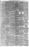 Western Daily Press Saturday 12 June 1875 Page 3