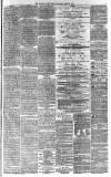 Western Daily Press Saturday 19 June 1875 Page 7