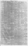 Western Daily Press Friday 10 March 1876 Page 3