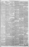 Western Daily Press Friday 20 April 1877 Page 3