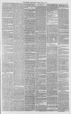 Western Daily Press Friday 11 May 1877 Page 5