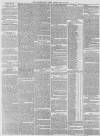 Western Daily Press Friday 13 July 1877 Page 3