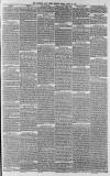 Western Daily Press Friday 11 April 1879 Page 3